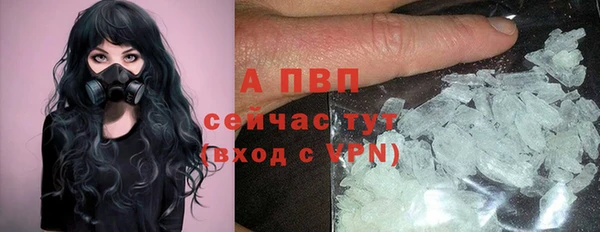 PSILOCYBIN Волоколамск