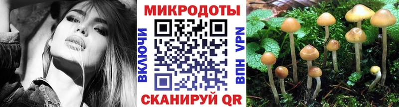 Псилоцибиновые грибы прущие грибы  Купить  Спасск-Рязанский 